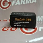 Vertex Testo U